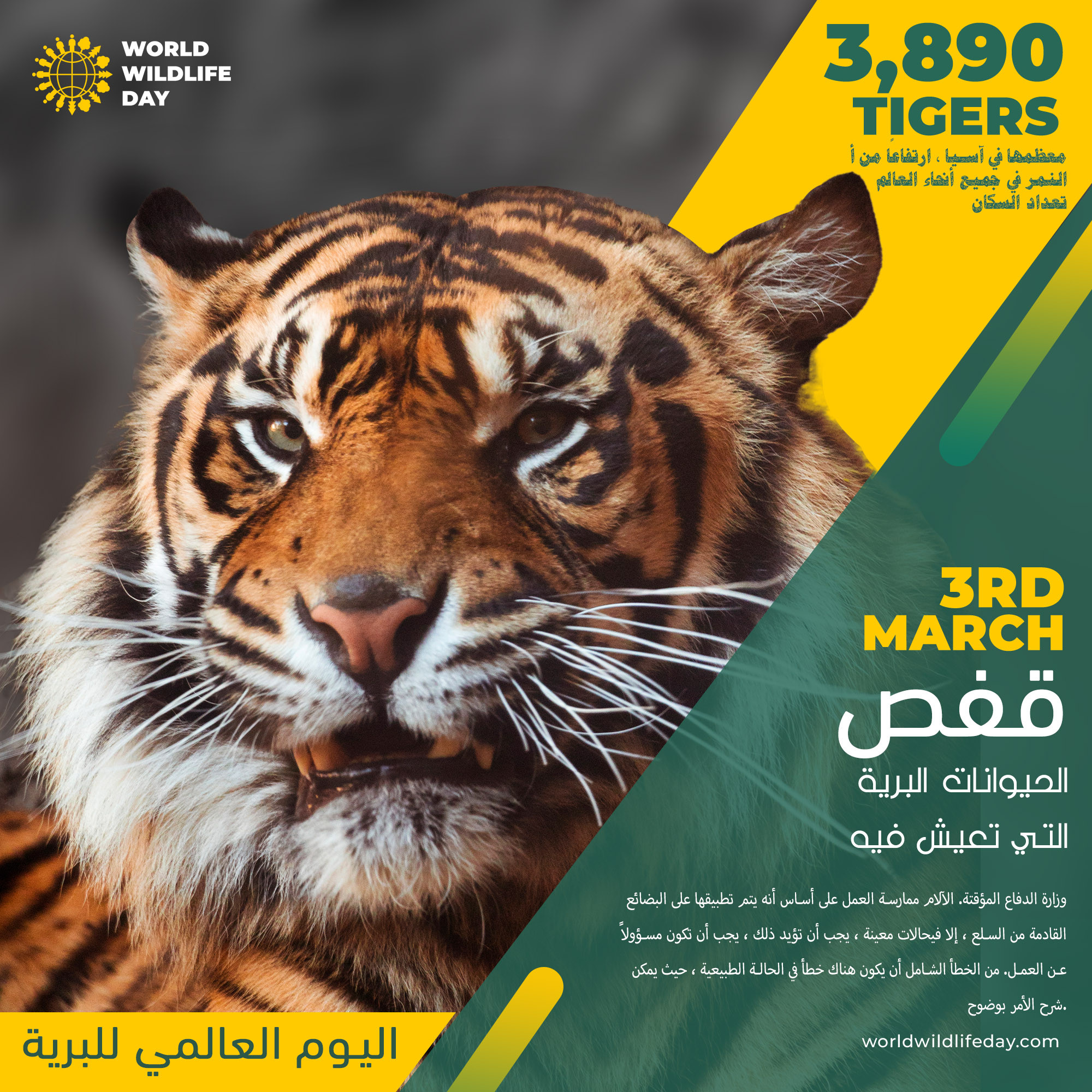 تصميم بوستات