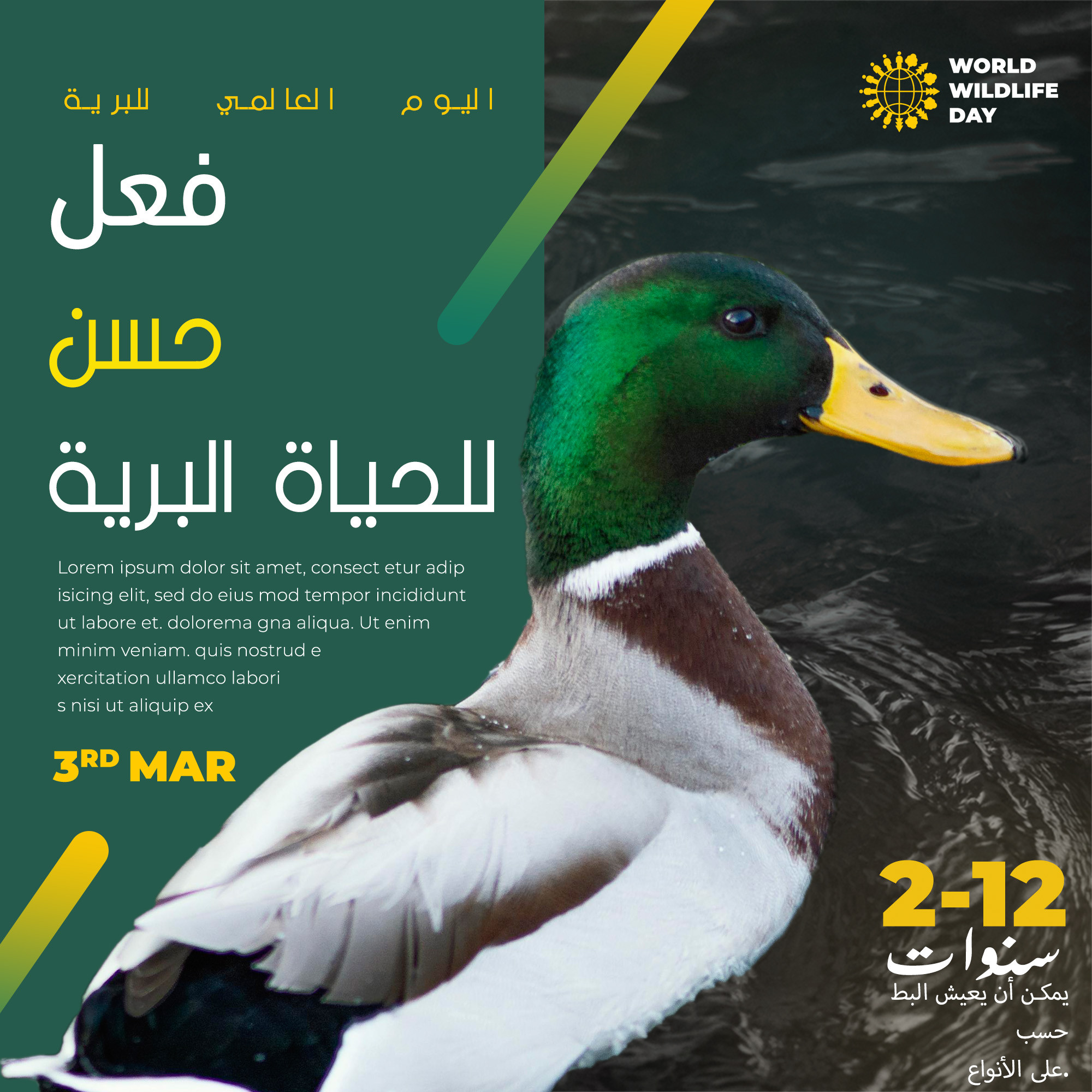 تصميم بوستات