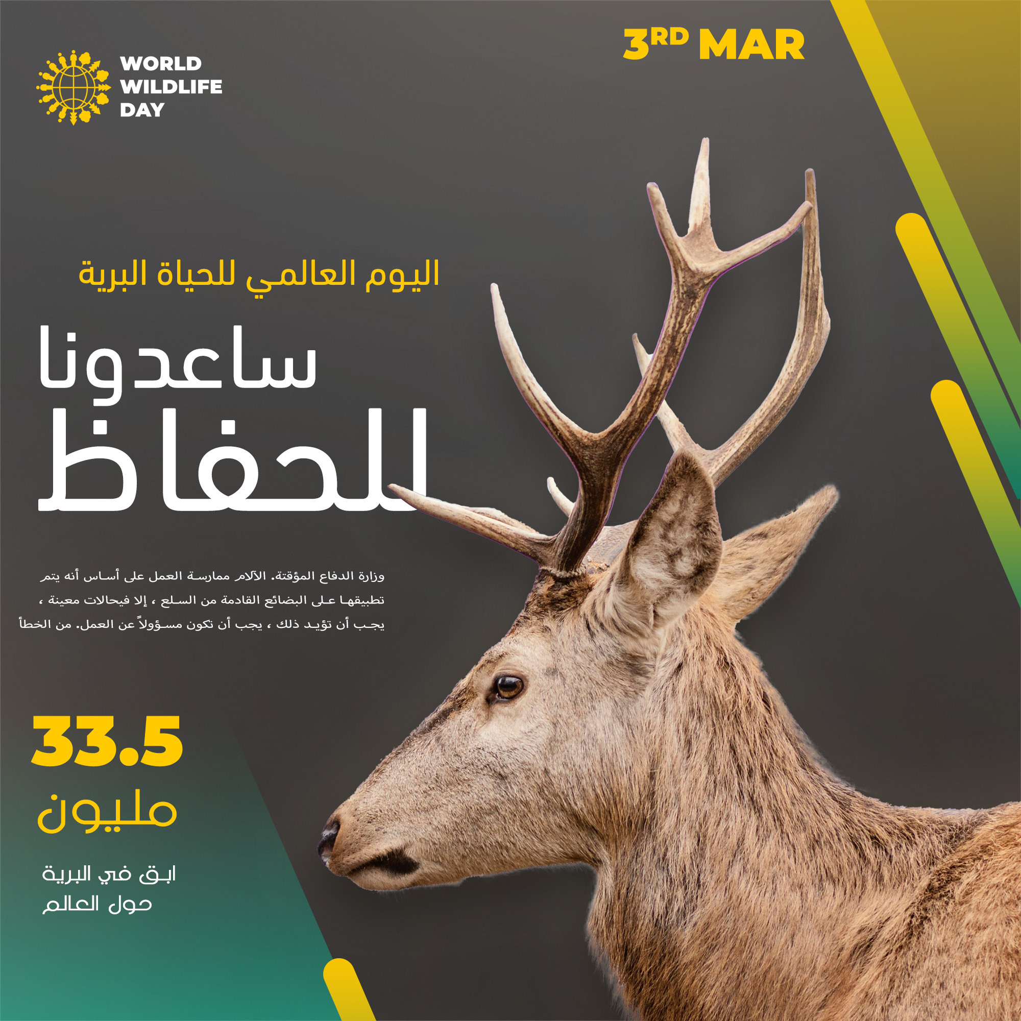 تصميم بوستات