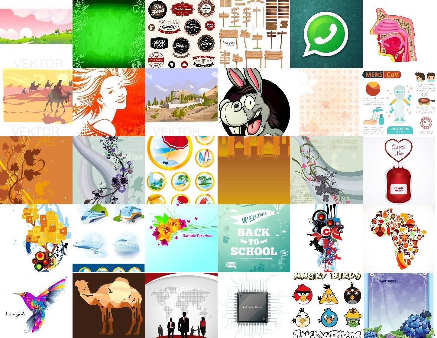 احصل على 9.000+ صورة Vector بصيغة EPS