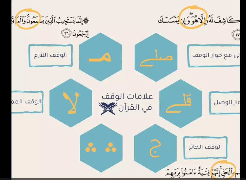 تصميم فيديو وايت بورد