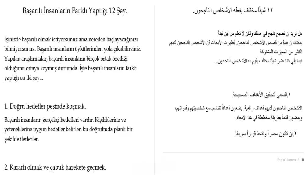 ترجمة لغات متعددة العربية والتركية والانجليزية