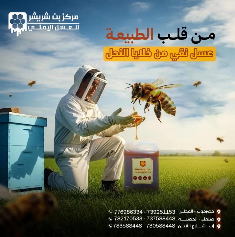 تصميم منشورات سويشل ميديا بشكل احترافي