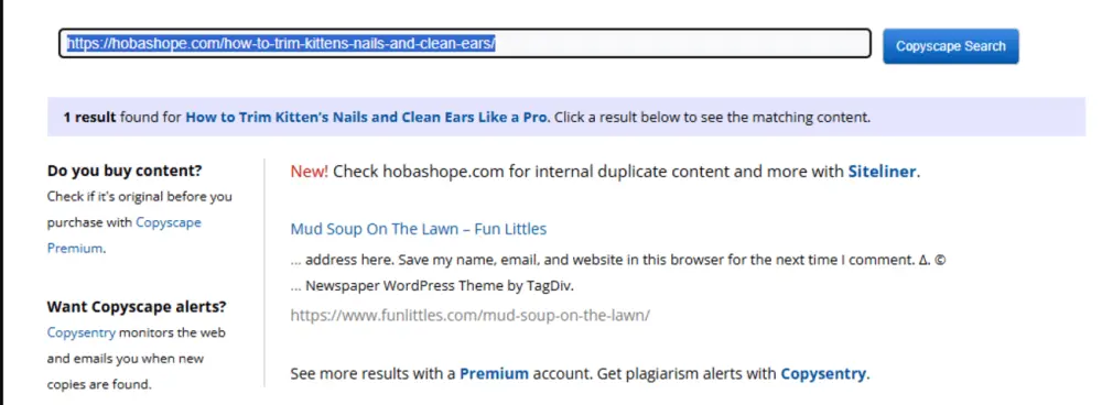 تحسين المدونة للقبول في جوجل أدسنس