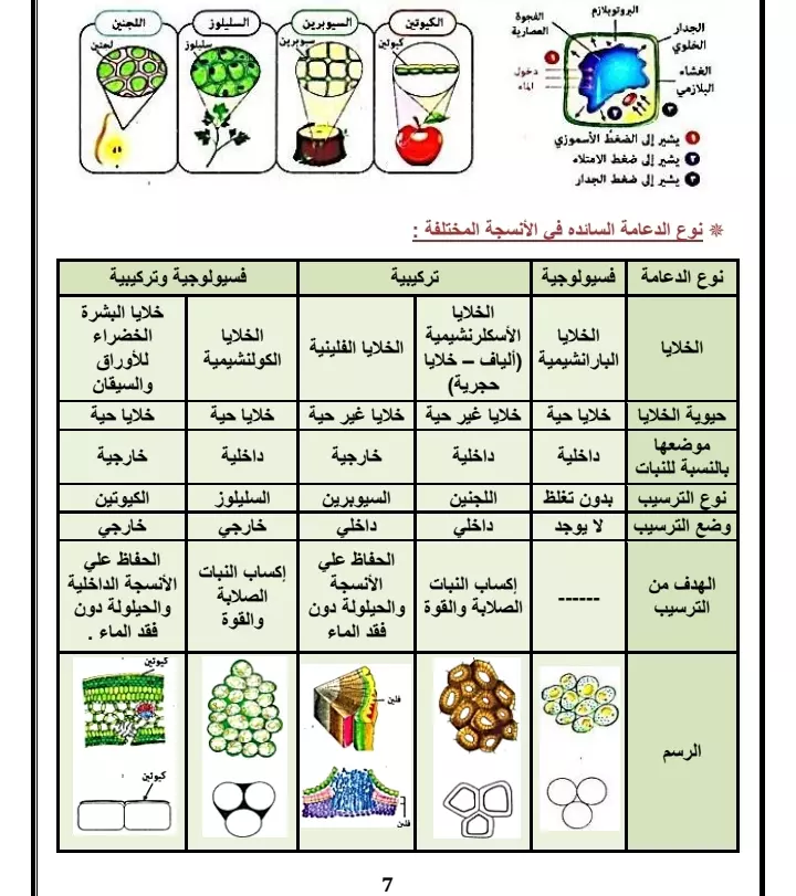 تفريغ الورق والكتب والملفات pdf علي ملف word