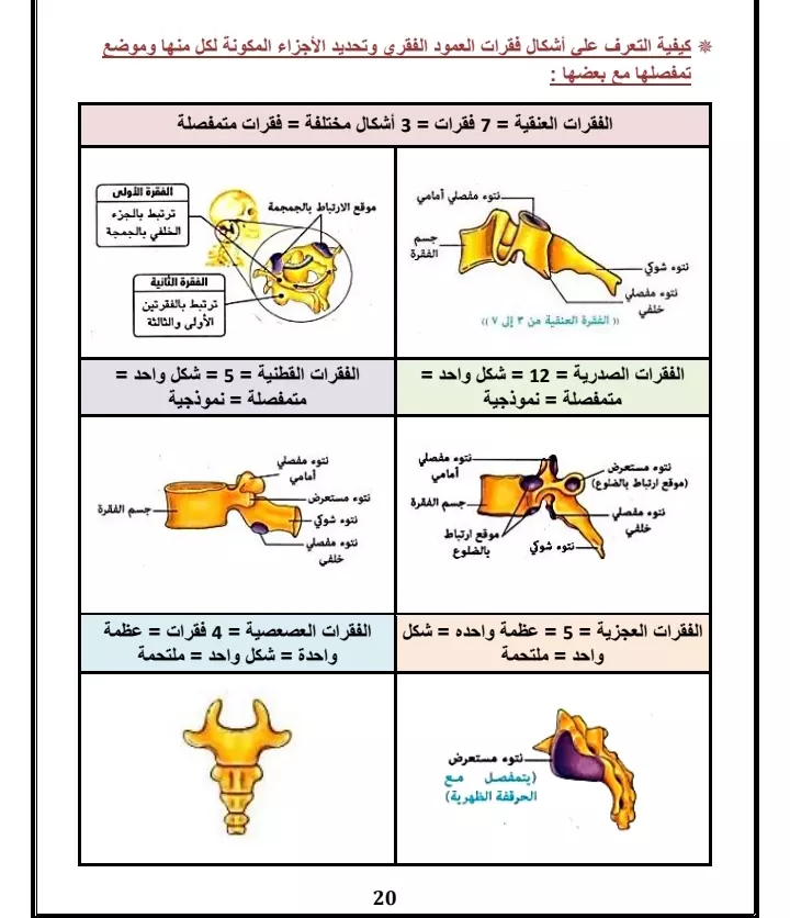 تفريغ الورق والكتب والملفات pdf علي ملف word