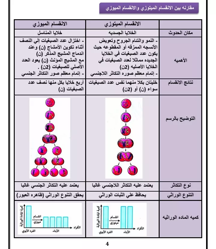 تفريغ الورق والكتب والملفات pdf علي ملف word