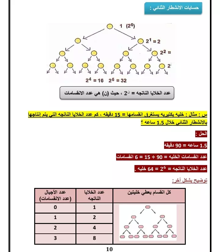 تفريغ الورق والكتب والملفات pdf علي ملف word