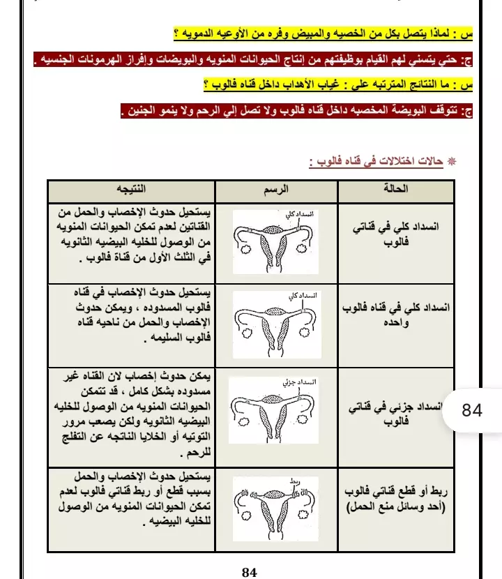 تفريغ الورق والكتب والملفات pdf علي ملف word