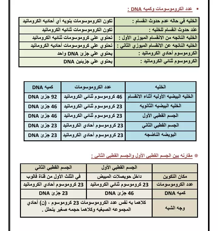 تفريغ الورق والكتب والملفات pdf علي ملف word