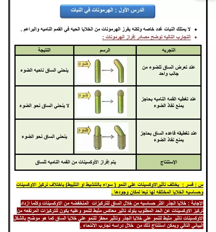 تفريغ الورق والكتب والملفات pdf علي ملف word
