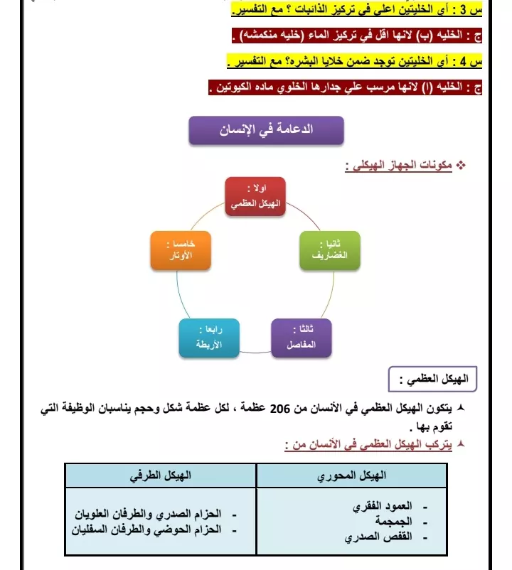 تفريغ الورق والكتب والملفات pdf علي ملف word