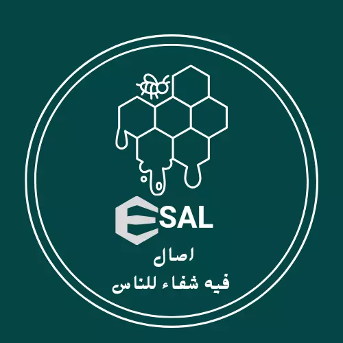 تصميم شعار احترافي يعبر عن هوية متجرك