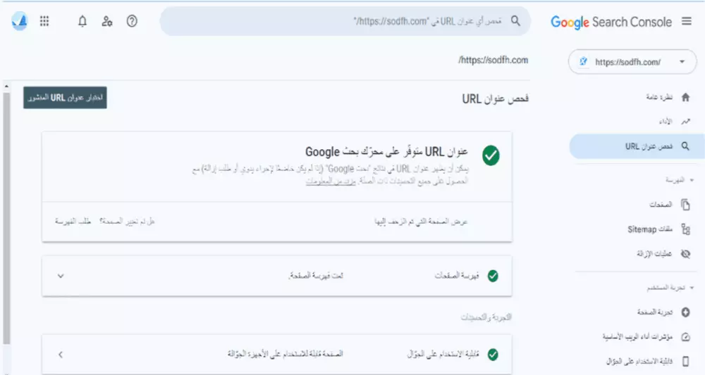 تحسين سيو SEO محركات البحث للموقع