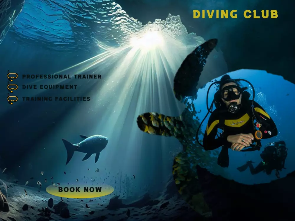 انشاء تصميمات لعرض المنتجات والخدمات