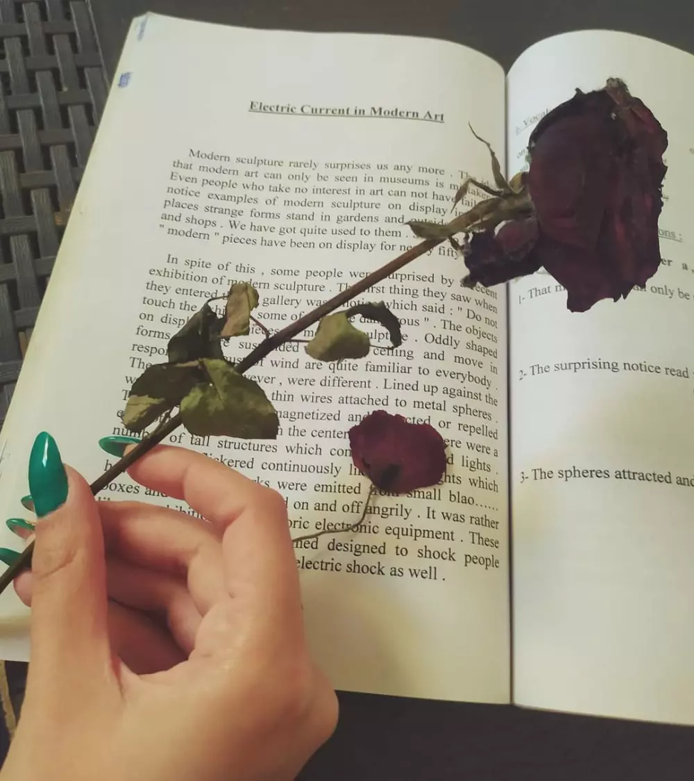 كتابة قصص و نصوص وروايات