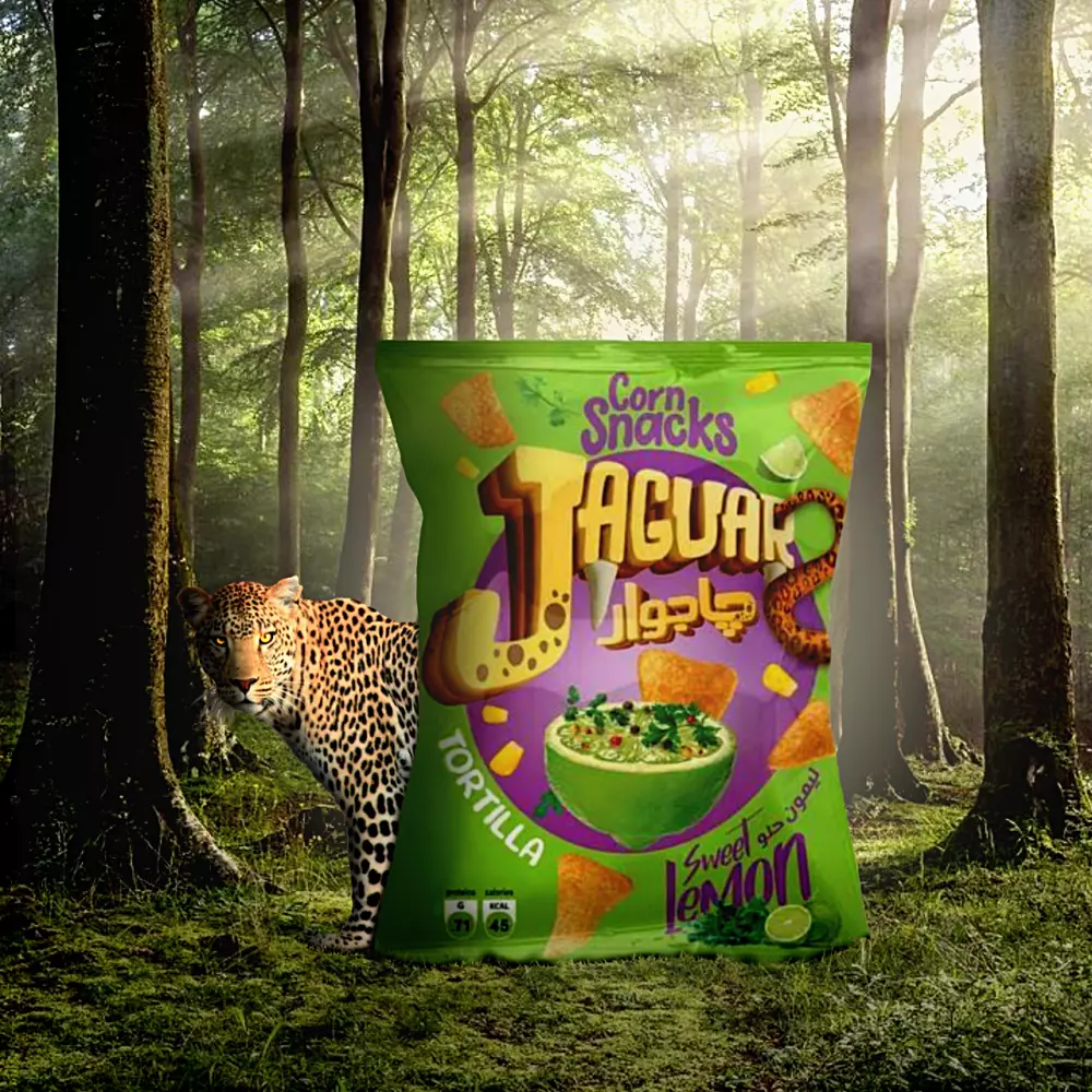 تصميم إعلانات تواصل اجتماعي