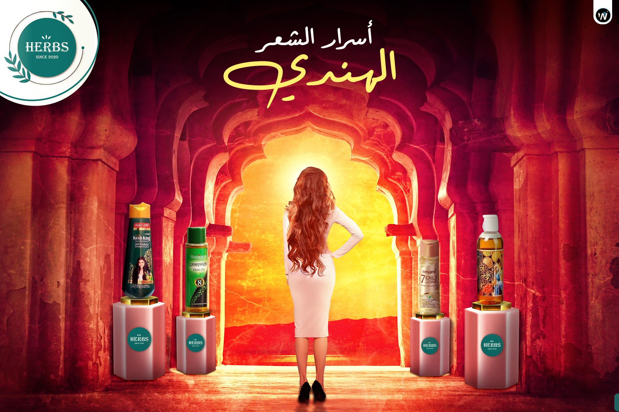 سوشيال ميديا ديزاين