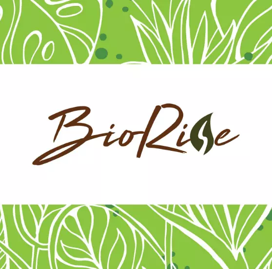 تصميم شعارات احترافي