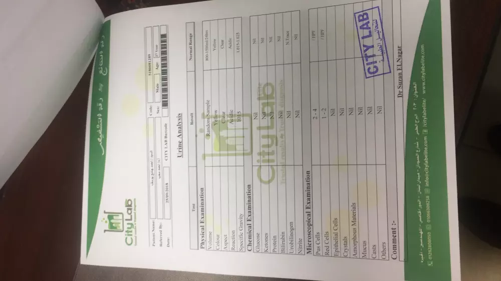 بناء هوية بصرية قوية من الألف إلى الياء