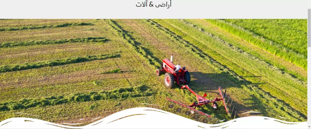 تصميم وتطوير مواقع ووردبريس wordpress