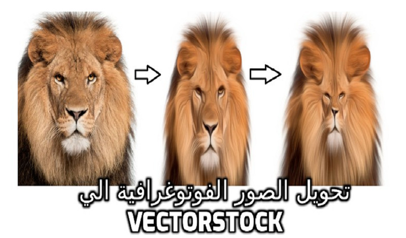 تحويل الصور الفوتوغرافية الي vector stock وبأي صيغة تريد