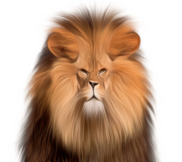 تحويل الصور الفوتوغرافية الي vector stock وبأي صيغة تريد