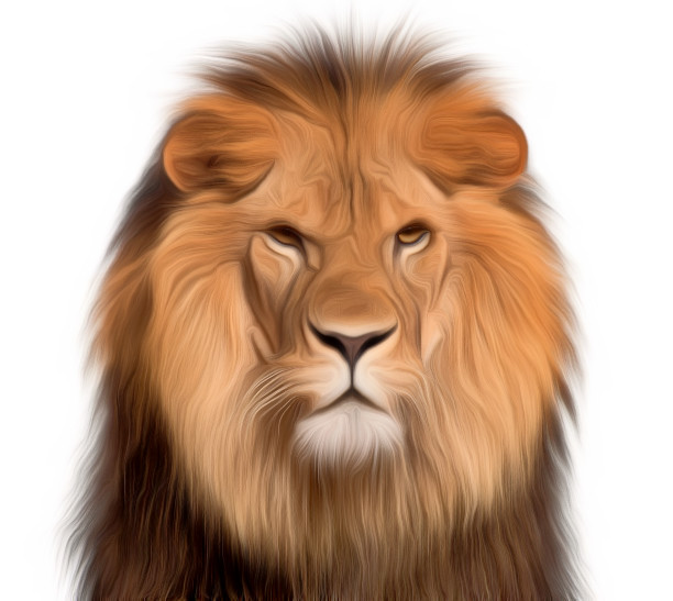 تحويل الصور الفوتوغرافية الي vector stock وبأي صيغة تريد