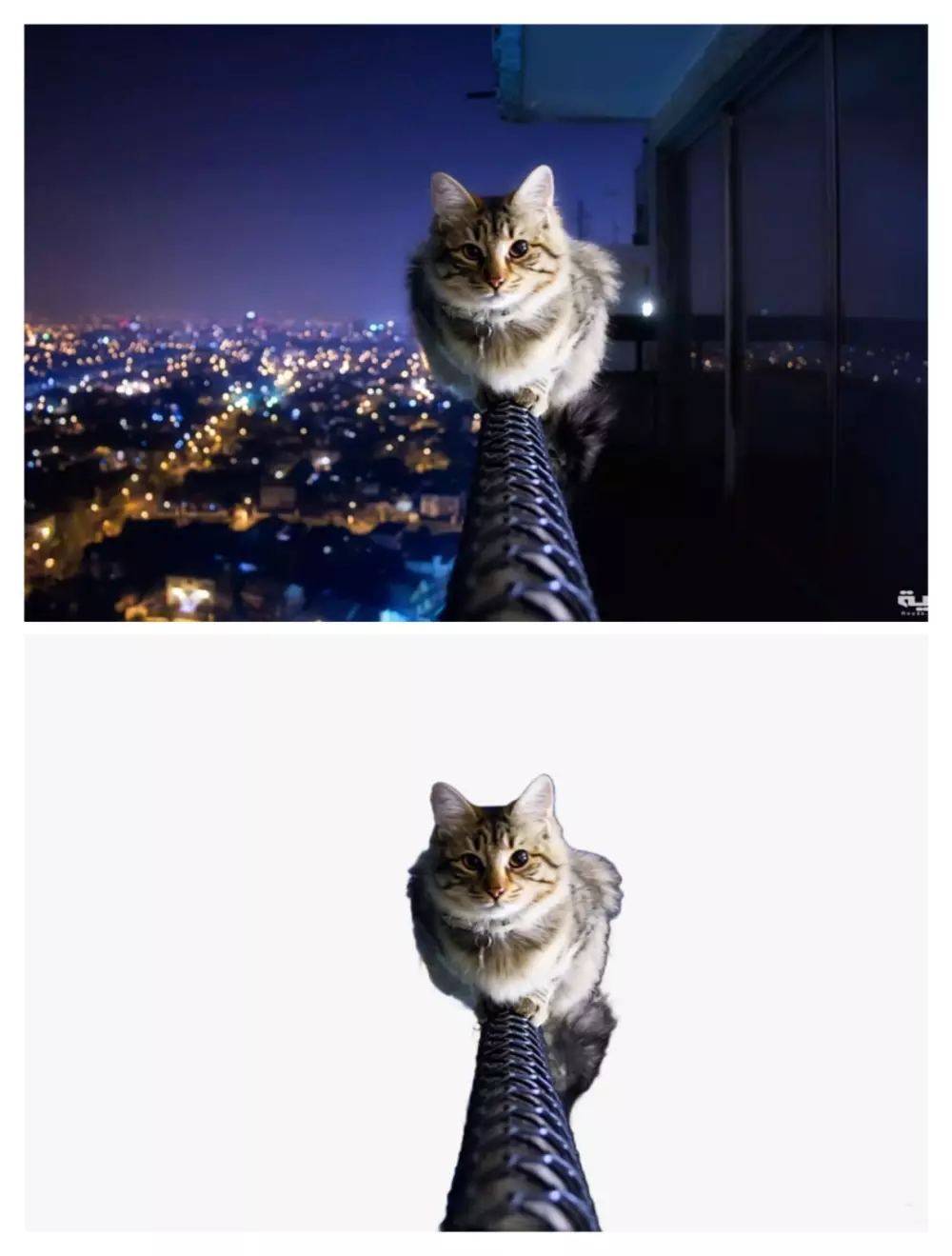 التعديل على الصور و ازالة الخلفية باحترافية