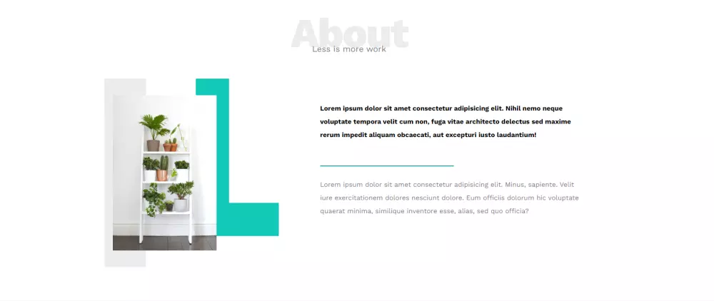 تصميم صفحة هبوط