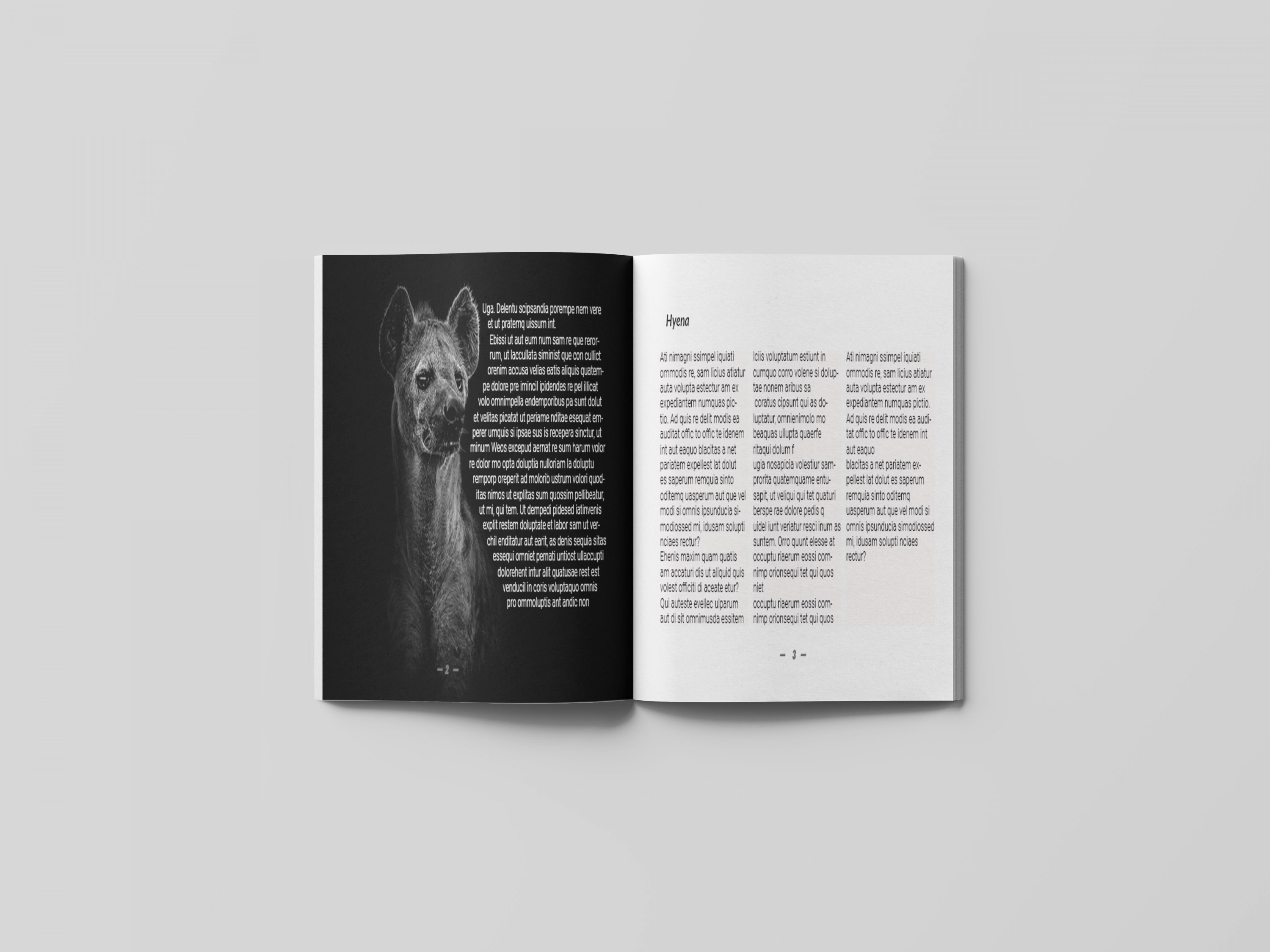 تصميم مطبوعات ( بروفايل , كتالوج , مجلة  , غلاف )