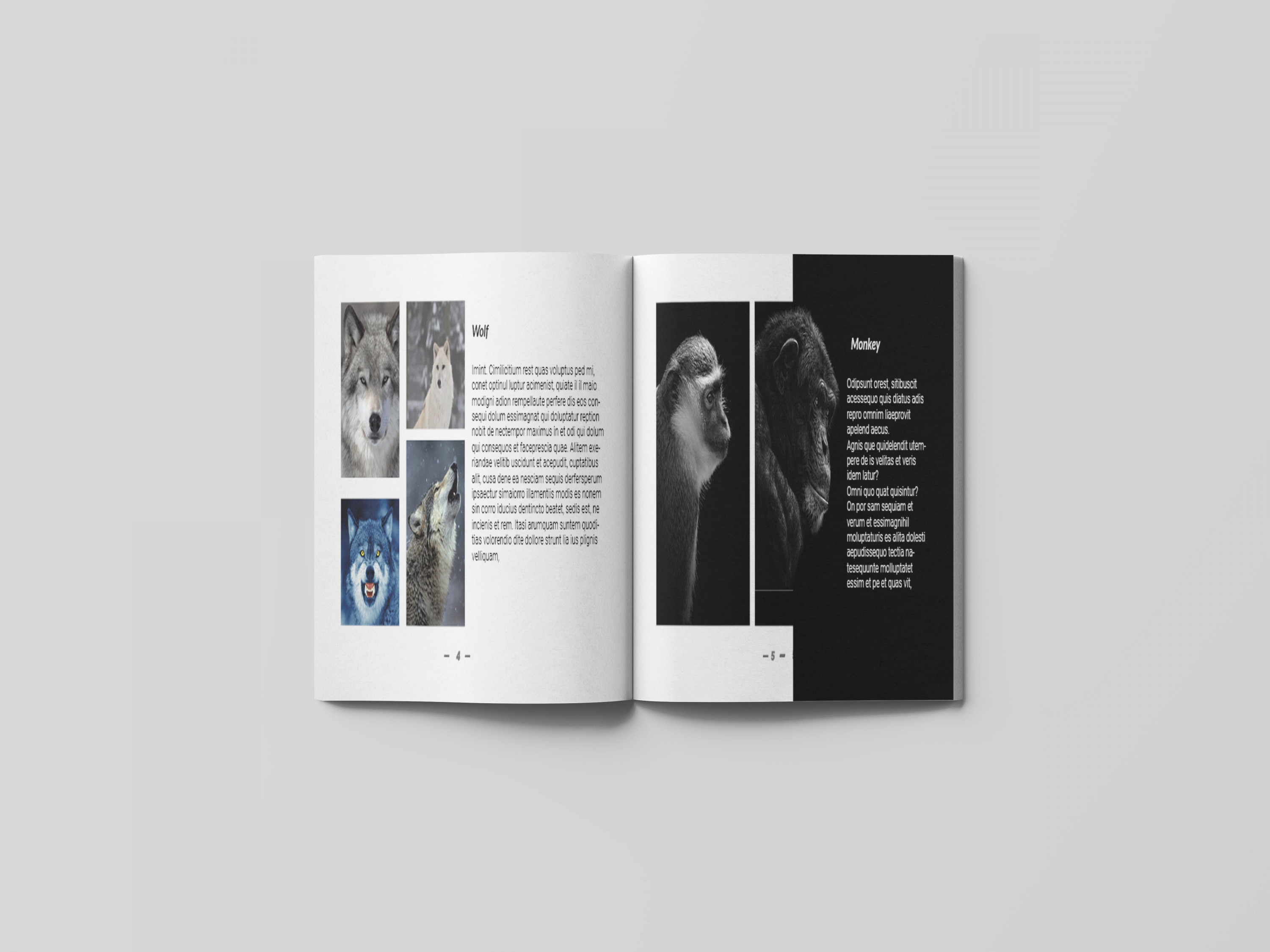 تصميم مطبوعات ( بروفايل , كتالوج , مجلة  , غلاف )