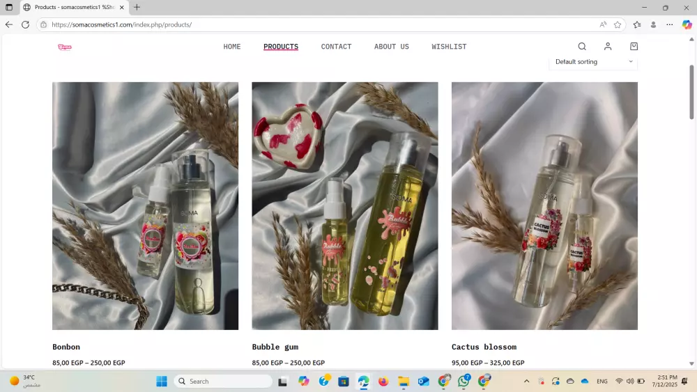 تصميم متجر إلكتروني احترافي باستخدام WordPress وElementor – متجاوب وسر