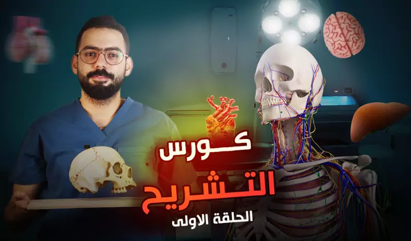 تصميم صور مصغرة جذابة وعالية الجودة لفيديوهاتك