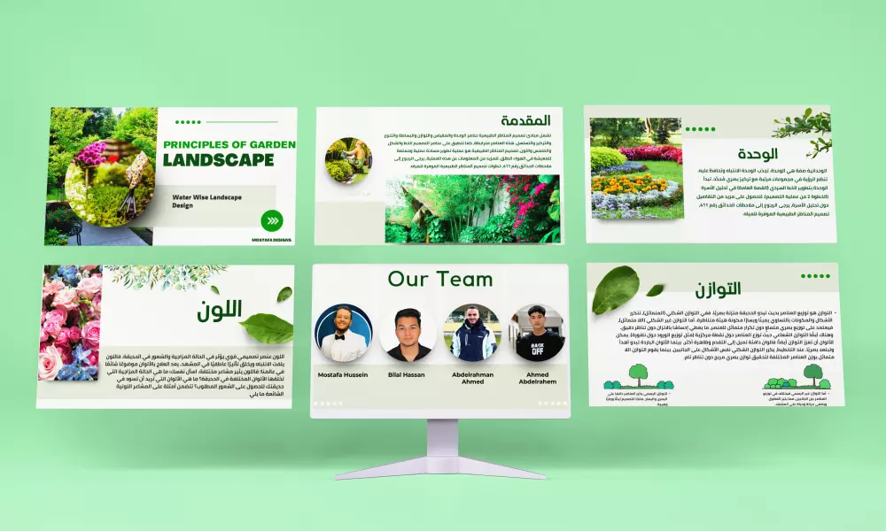 انشاء عروض تقديميه PowerPoint وانفوجرافيك تعبر عن هوية عملك