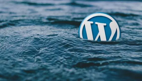 تصميم موقع ووردبريس سريع التحميل، متجاوب ومحسّن لمحركات البحث (SEO)