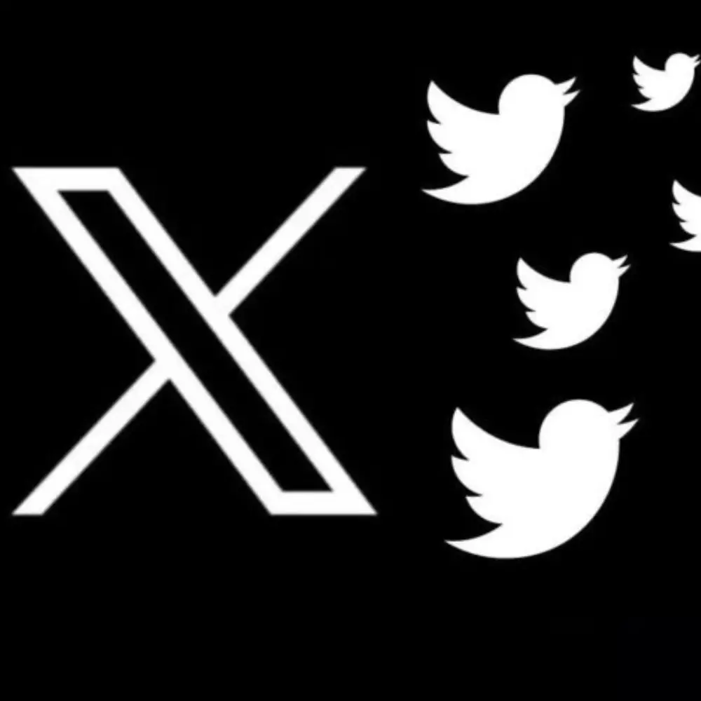 احصل على 3000 متابع حقيقي على تويتر بسرعة وفعالية