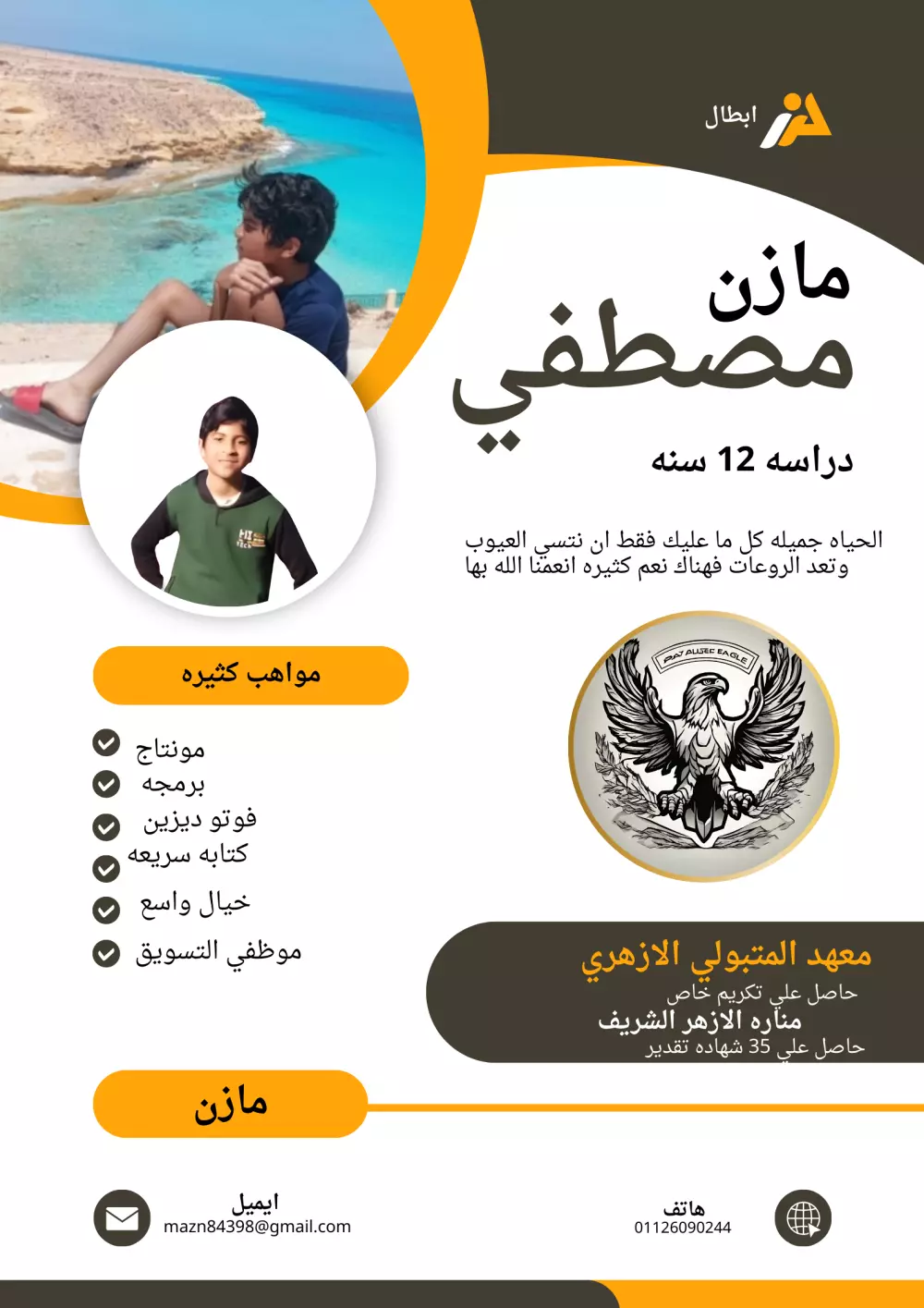 تصميم سيرة ذاتية احترافية (cv)