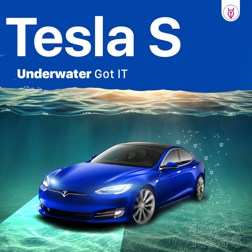 تصاميم السوشل ميديا احترافية