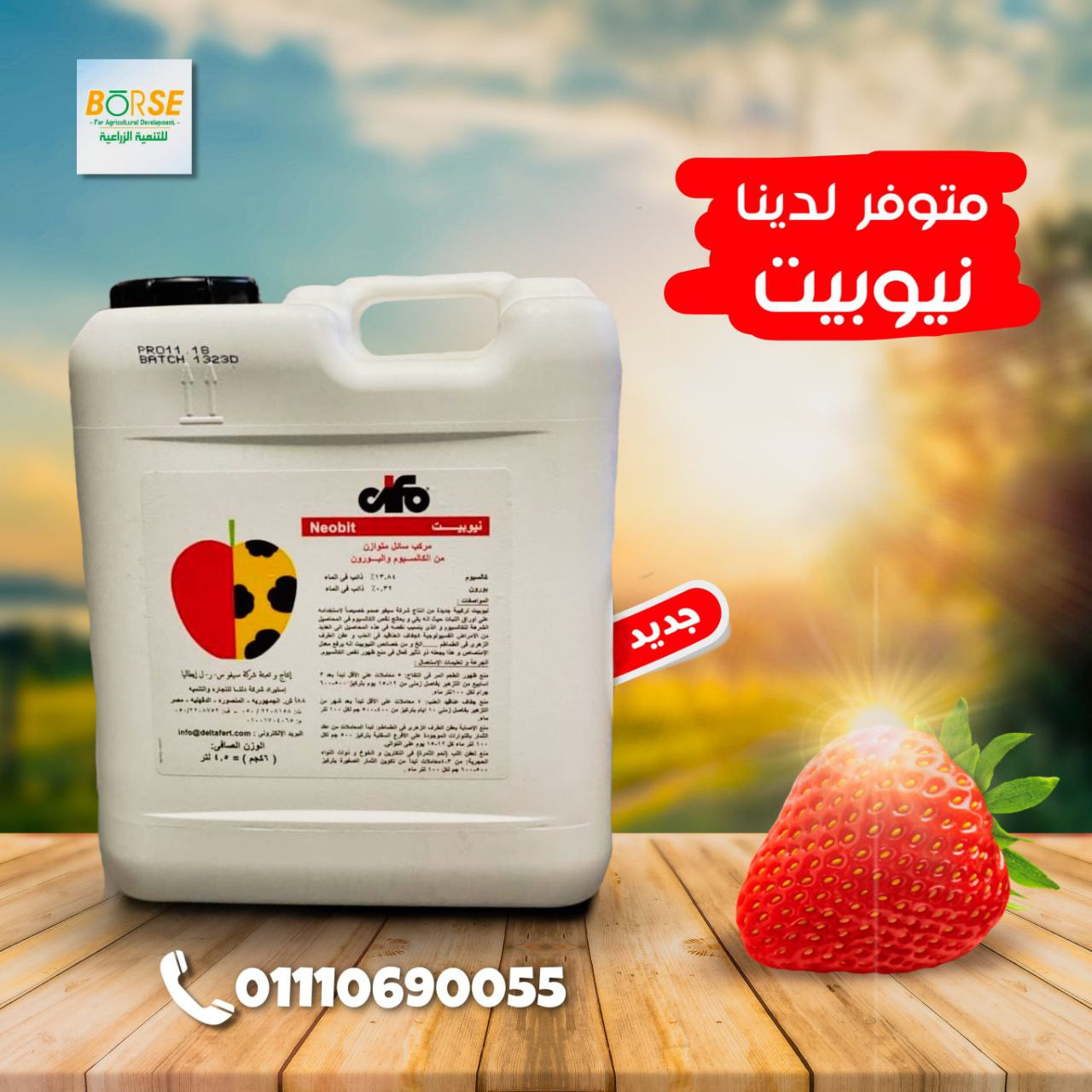 تصميم سوشيل ميديا