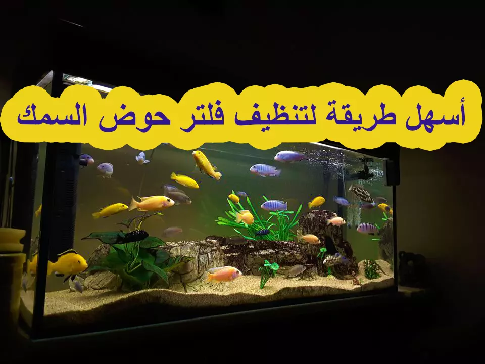 تصميم صور مصغرة لمنصات التواصل الاجتماعي المختلفة