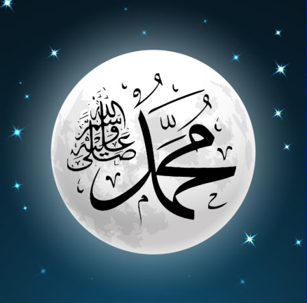 إنشاء تطبيق قراءة مقالات أو روايات