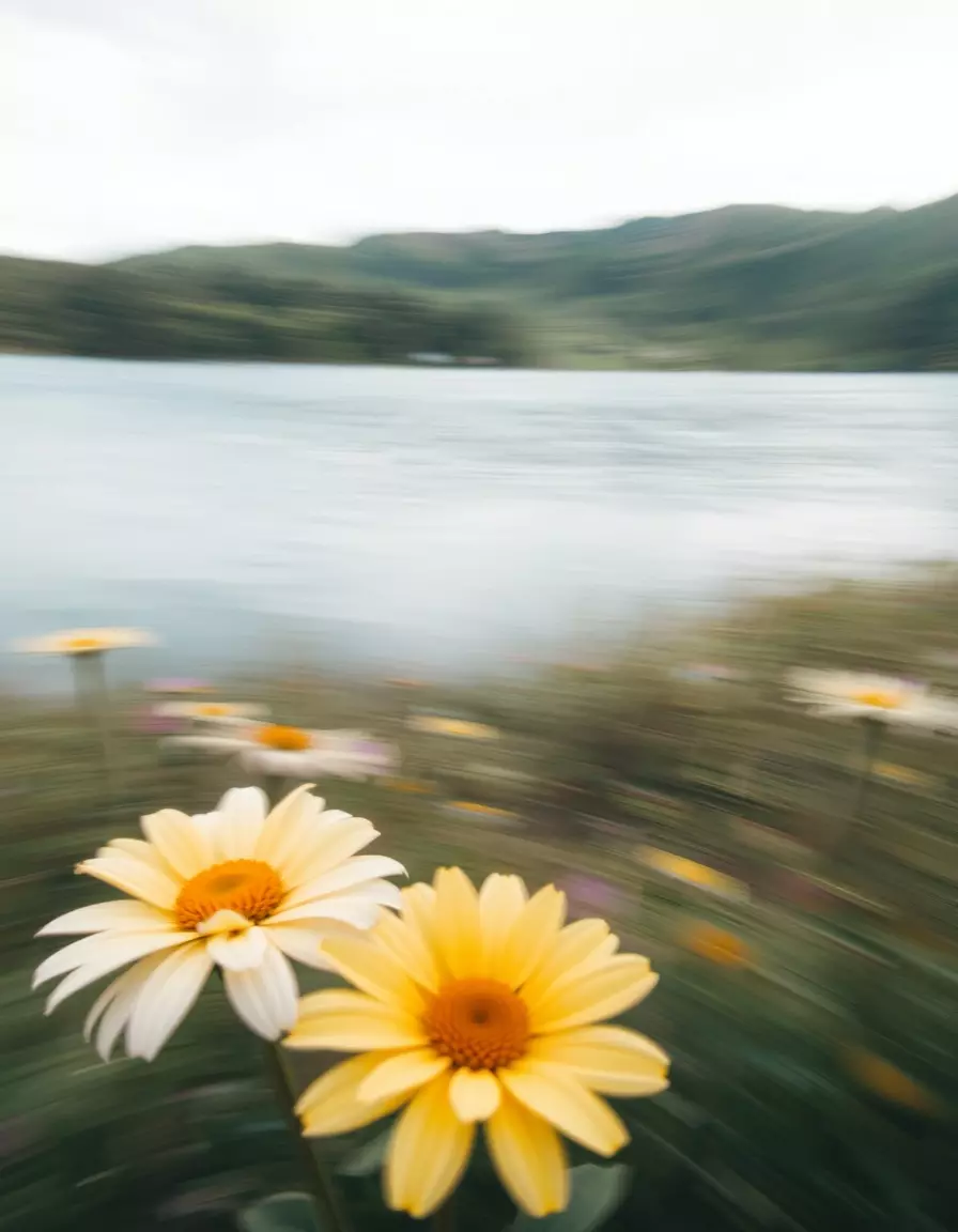 تصميم شامل لكل بوستات الفيس بوك والانستجرام