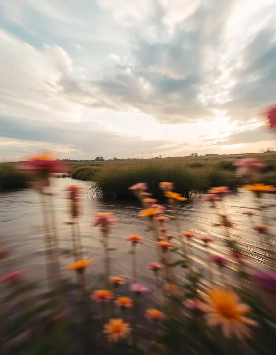 تصميم شامل لكل بوستات الفيس بوك والانستجرام