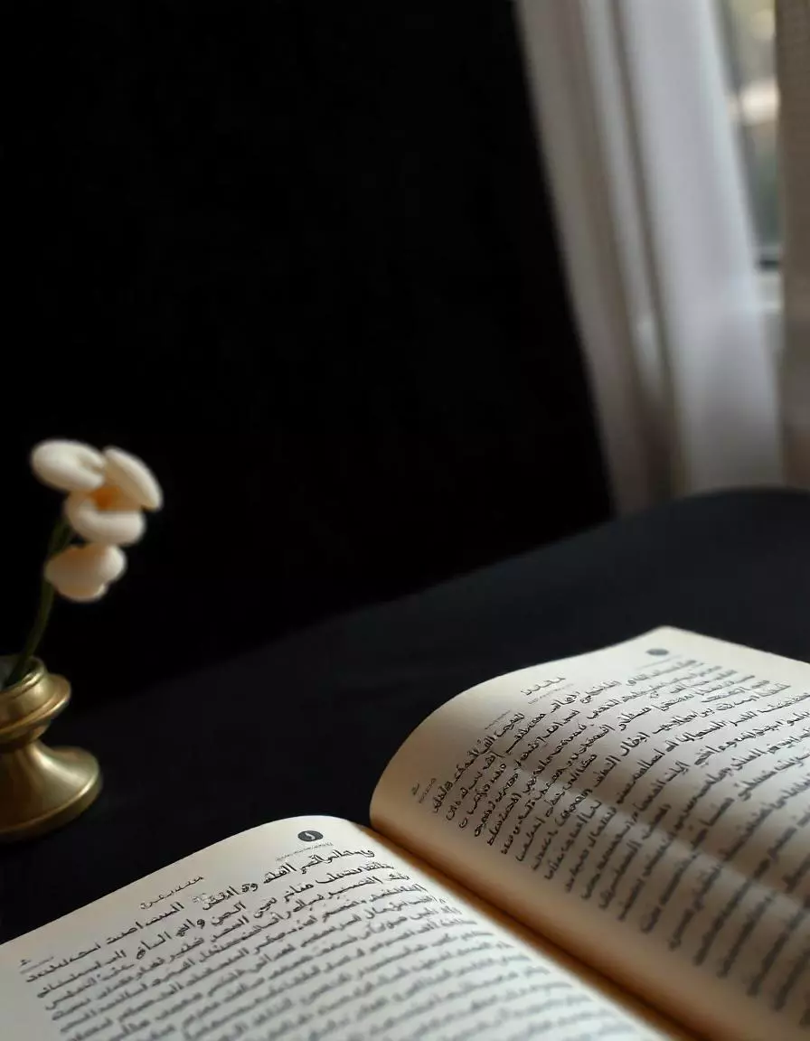 الترجمة الاحترافية لمختلف الكتب والملفات