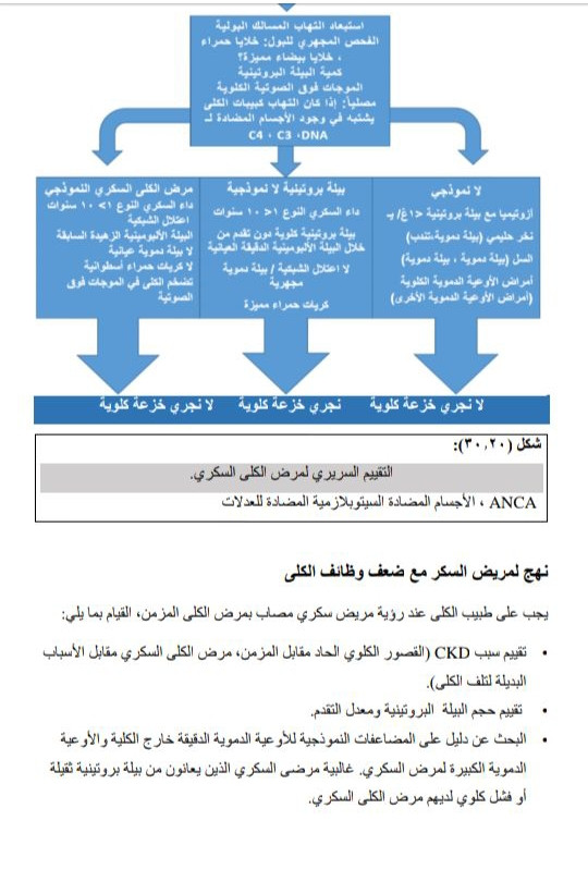 الترجمة الطبية الاحترافية من الانكليزية إلى العربية
