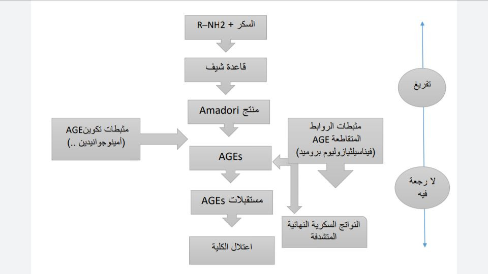 الترجمة الطبية الاحترافية من الانكليزية إلى العربية