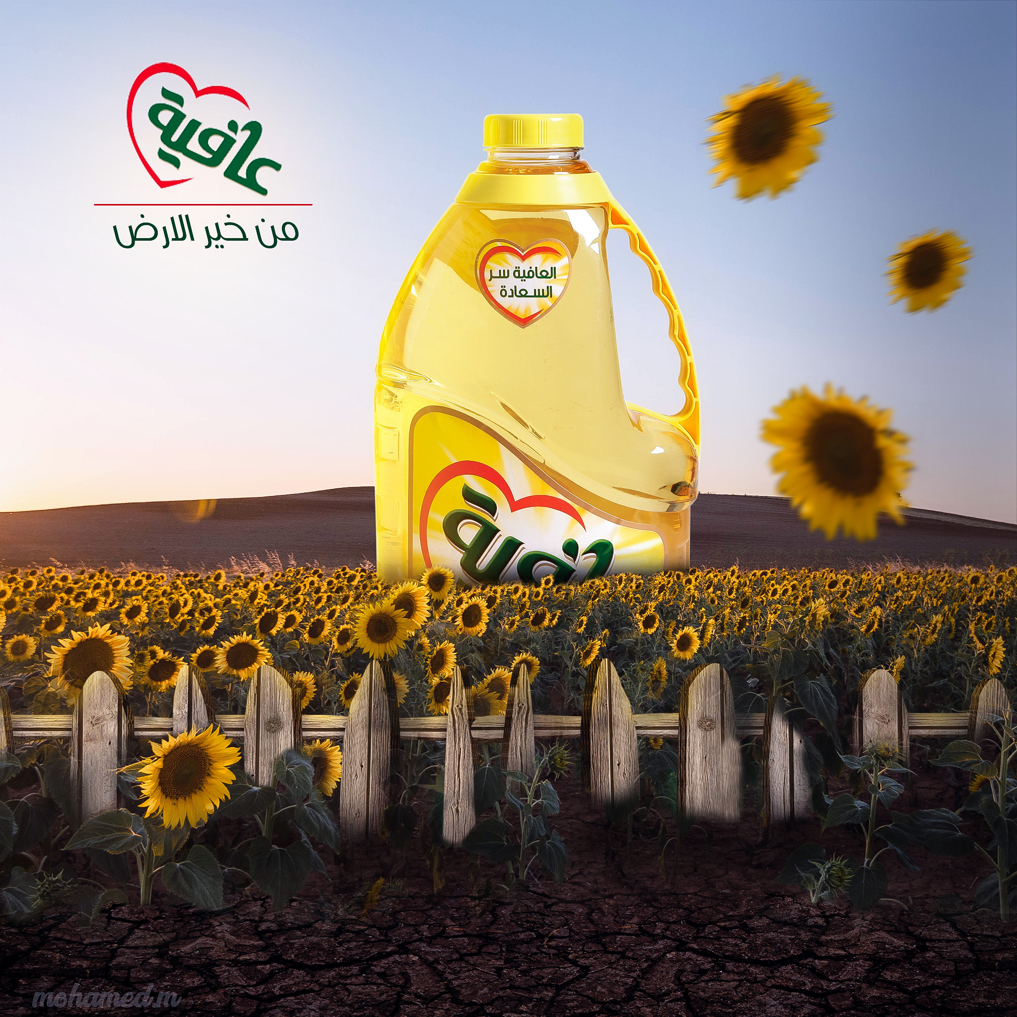 تصميم سوشيال ميديا احترافى