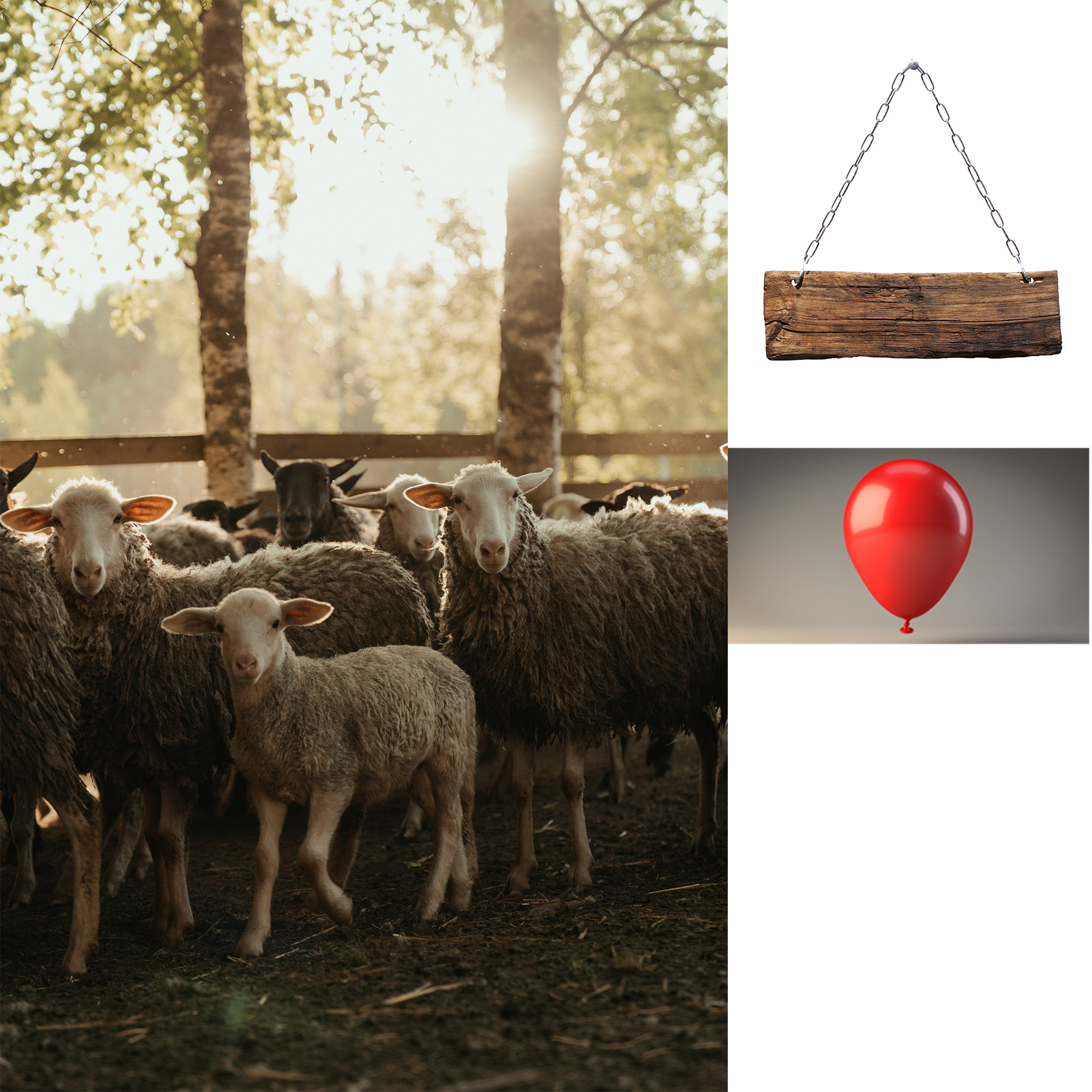 تصميم سوشيال ميديا احترافى