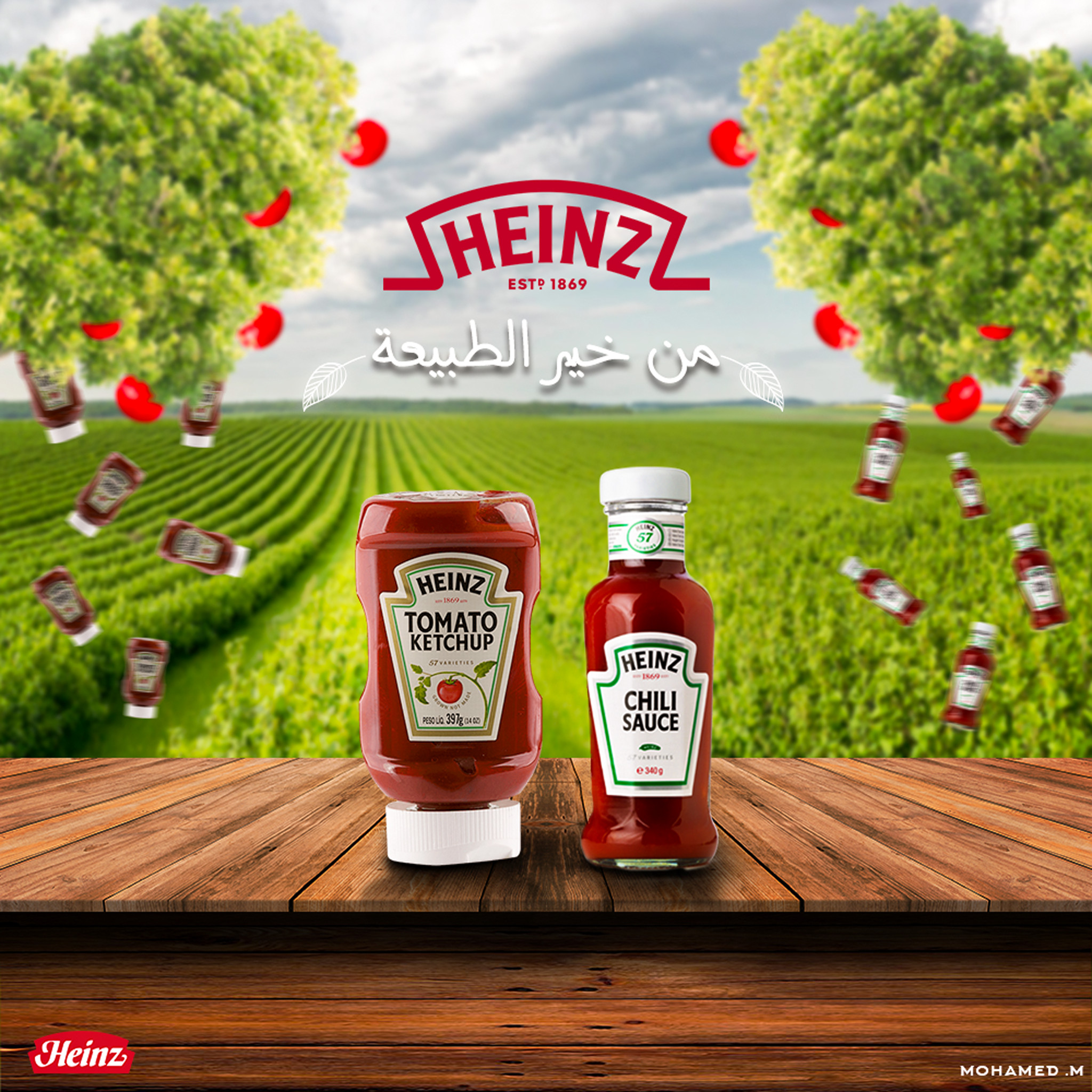 تصميم سوشيال ميديا احترافى